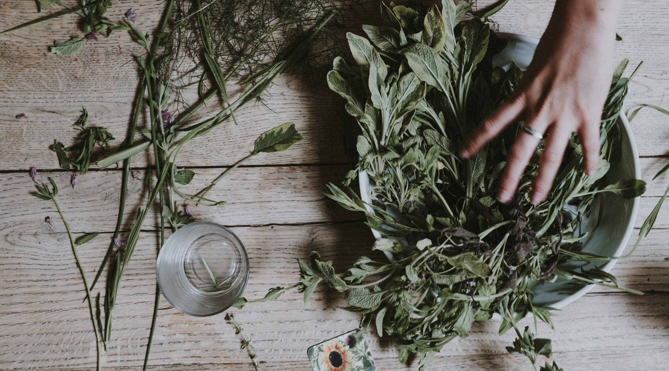 Herbal treatment cropped 2